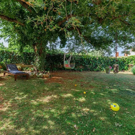 Lili-3 By Interhome Kukci